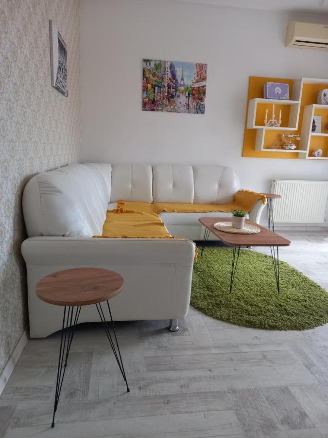 Apartman Marija Paracin Bagian luar foto